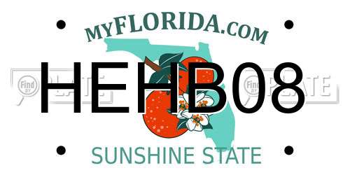 HEHB08 Florida License Plate