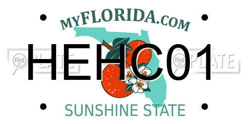 HEHC01 Florida License Plate