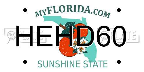 HEHD60 Florida License Plate