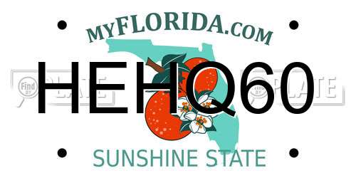 HEHQ60 Florida License Plate