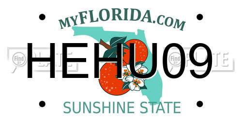 HEHU09 Florida License Plate