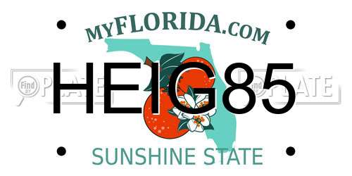 HEIG85 Florida License Plate