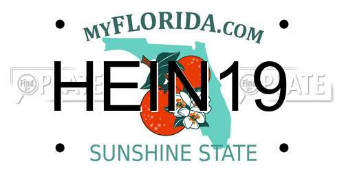 HEIN19 Florida License Plate