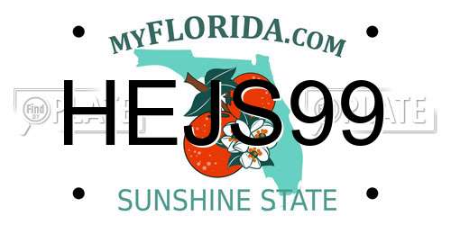 HEJS99 Florida License Plate