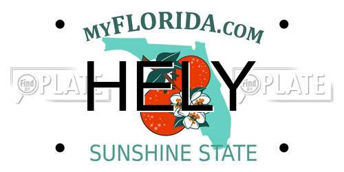 HELY Florida License Plate