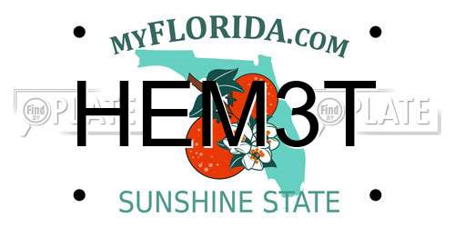 HEM3T Florida License Plate