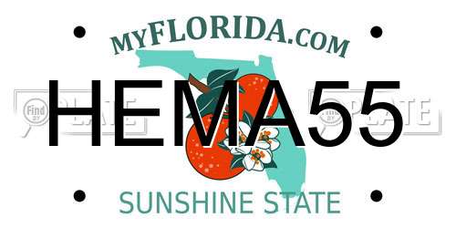 HEMA55 Florida License Plate