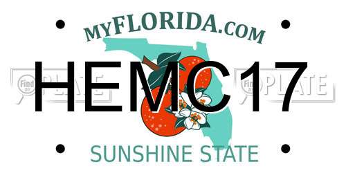 HEMC17 Florida License Plate