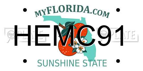 HEMC91 Florida License Plate