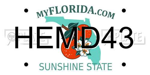 HEMD43 Florida License Plate