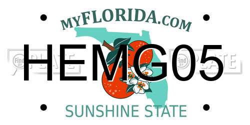 HEMG05 Florida License Plate