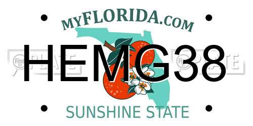 HEMG38 Florida License Plate