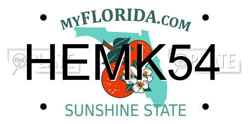 HEMK54 Florida License Plate