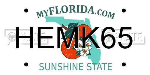 HEMK65 Florida License Plate