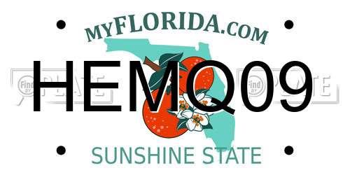 HEMQ09 Florida License Plate