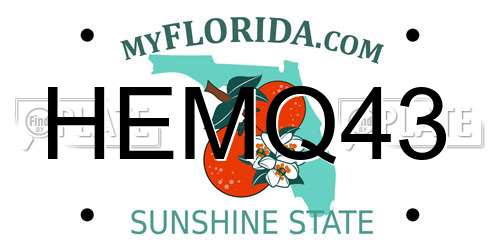 HEMQ43 Florida License Plate