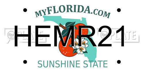 HEMR21 Florida License Plate