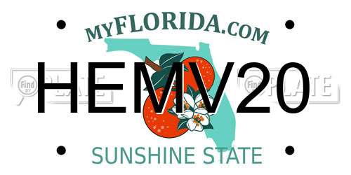 HEMV20 Florida License Plate