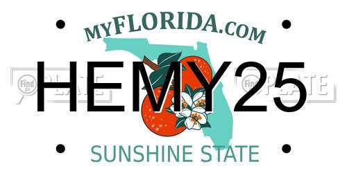 HEMY25 Florida License Plate