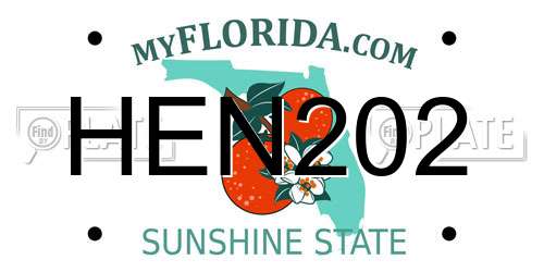 HEN202 Florida License Plate