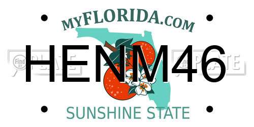 HENM46 Florida License Plate