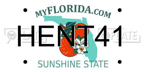 HENT41 Florida License Plate