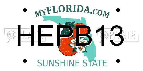 HEPB13 Florida License Plate