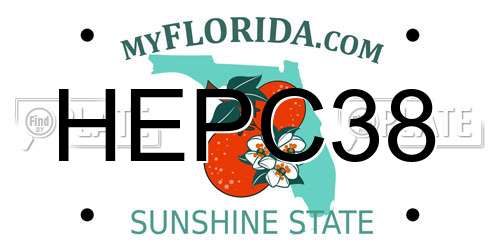 HEPC38 Florida License Plate