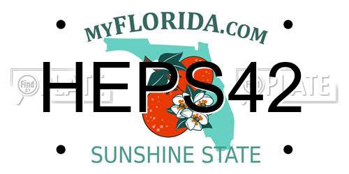 HEPS42 Florida License Plate