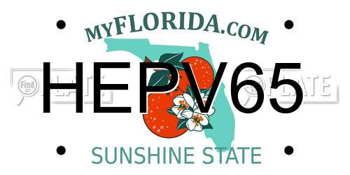 HEPV65 Florida License Plate