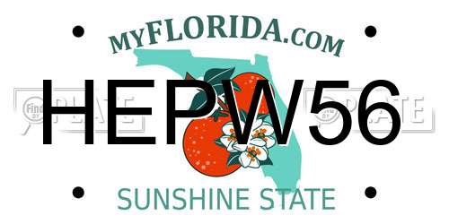 HEPW56 Florida License Plate