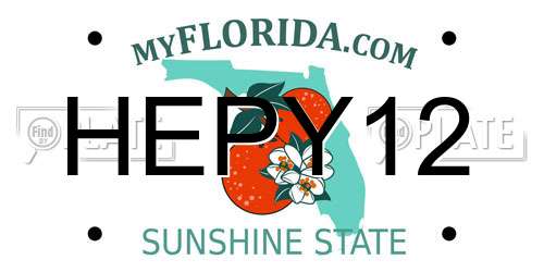 HEPY12 Florida License Plate