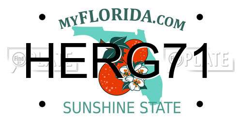 HERG71 Florida License Plate