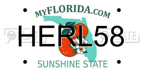 HERL58 Florida License Plate