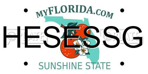HESESSG Florida License Plate