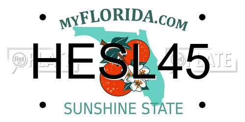 HESL45 Florida License Plate