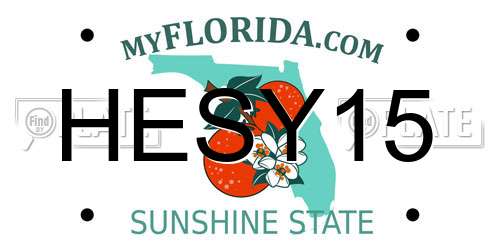 HESY15 Florida License Plate
