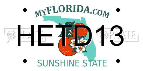 HETD13 Florida License Plate