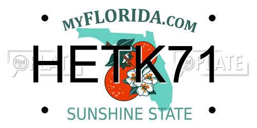 HETK71 Florida License Plate