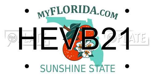 HEVB21 Florida License Plate