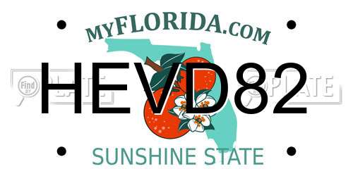 HEVD82 Florida License Plate
