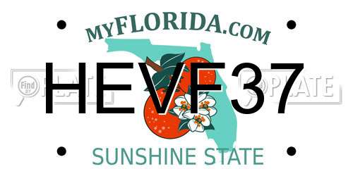 HEVF37 Florida License Plate
