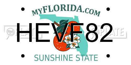 HEVF82 Florida License Plate