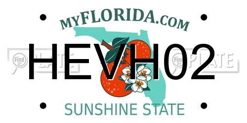 HEVH02 Florida License Plate