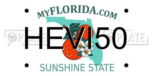 HEVI50 Florida License Plate
