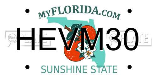 HEVM30 Florida License Plate