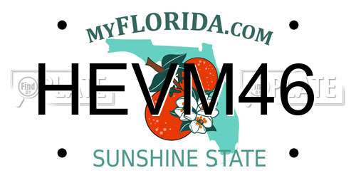 HEVM46 Florida License Plate
