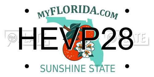 HEVP28 Florida License Plate