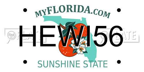 HEWI56 Florida License Plate