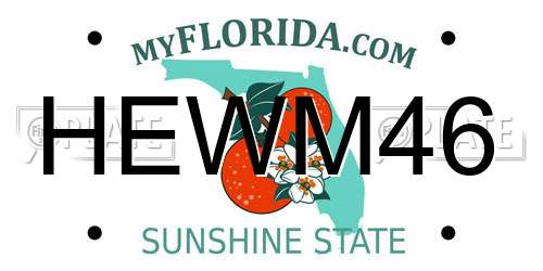 HEWM46 Florida License Plate
